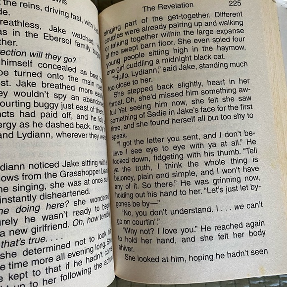 The Revelation Hardback Book by Beverly Lewis Large Print - Picture 3 of 4